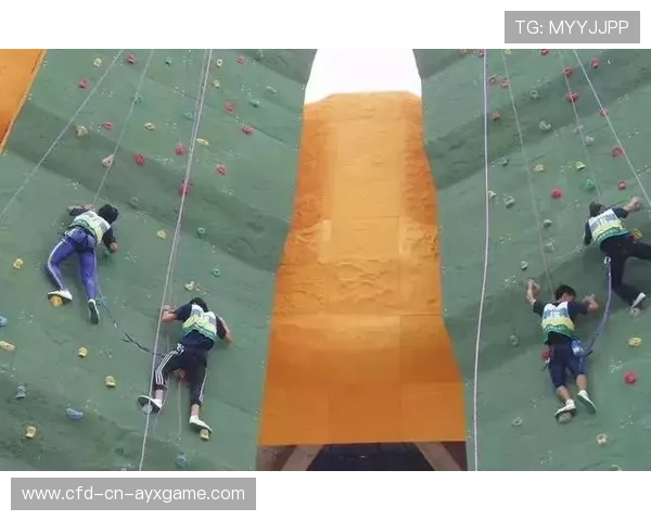 国际攀岩线上教学平台推出进阶训练课程，国际攀岩墙